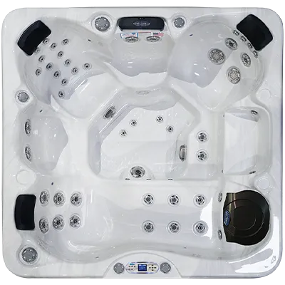 Avalon EC-849L hot tubs for sale in Charlotte Hall