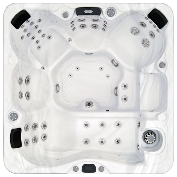 Avalon-X EC-867LX hot tubs for sale in Charlotte Hall